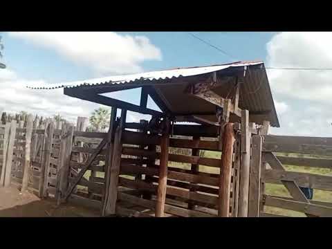 (VENDA SUSPENSA) FAZENDA DE 67 HECTARES AS MARGENS DO RIO PARNAIBA EM AMARANTE PIAUÍ