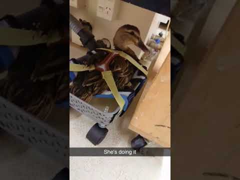 Intern NZ Intern OZ Video Competition WINNER