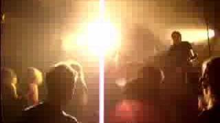 De heideroosjes - we&#39;re all fucked up