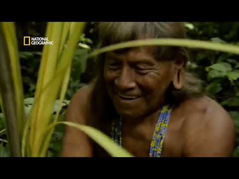 Jungle_Survival_Secrets_Primal_Survivor__हिंदी__Full_Episode_S1_-_E2_ @Primal Survival