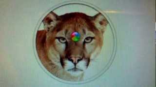 Rainbow Wheel on a Cougar Head
