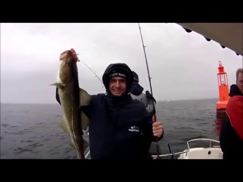 Denemarken April 2016  - THE MOVIE