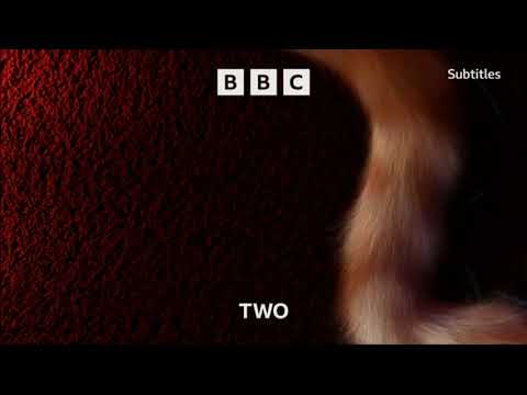Wallace and Gromit: The Wrong Trousers BBC Two Intro