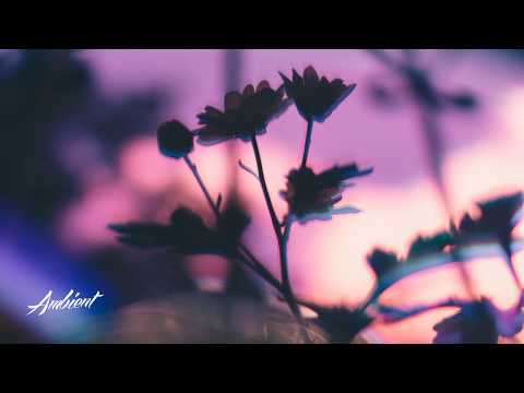 Victoriya x Andy Leech - Night Garden