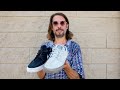 Nike Sb Zoom Stefan Janoski Fl Rm Shoes