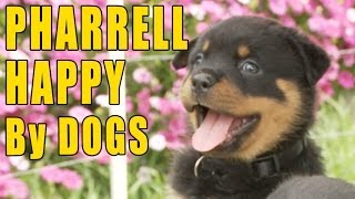 Pharrell - Happy (Puppy &amp; Doggy Version)