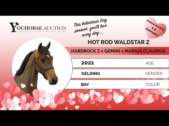 Hot Rod Waldstar Z