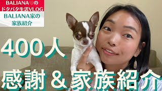 【400人 登録感謝 家族紹介】Balianaの家族紹介♡#海外移住 #Bali #VLOG #子猫 #猫 #ペット #ねこのいる生活 #猫動画 #猫のいる暮らし #犬のいる暮らし#チワワ