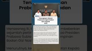 Masalah SOP hingga Disiplin, Ini Alasan Prabowo Copot Dadan Hindayana dari Kepala BGN