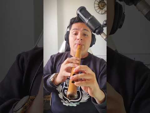 Duele Sentir Que Aún Te Amo🤍 - Dúo Gaitán Castro  #quenasgm #musica #caporales