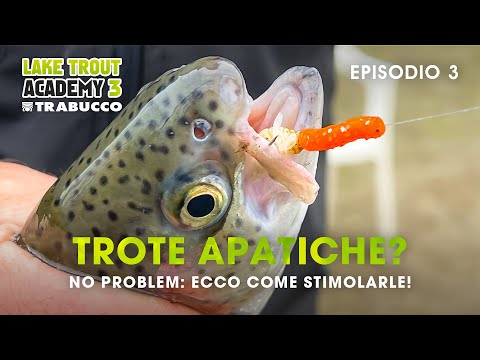 Pescare TROTA LAGO: ECCO COME stimolare le TROTE apatiche!  LAKE TROUT Academy S3E3@trabuccofishing
