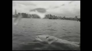 The Wedding Present - Falling