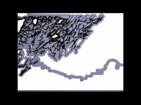 lago dos ruidos CANSADO visual beat SUKTA X JODO