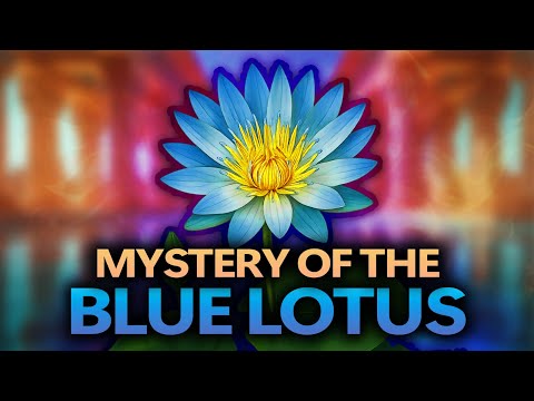 Der Ägyptische Blaue Lotus ist nicht das, was Sie denken