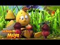 Madre Valiente ‍ ‍ Capítulos Completos La Abeja Maya