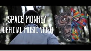 Them Flying Monkeys - Space Monkey (Official Music Video)