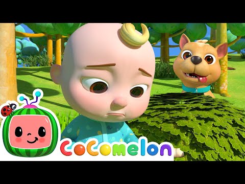 Where Has My Little Dog Gone? | CoComelon Animal Time | Animal Songs for Kids