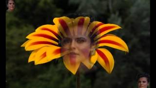 Roberto Carlos El Jardín del Vecino