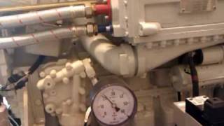 preview picture of video 'gasengine CHP 100KW'