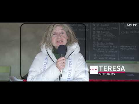 TALLERES APLEC: SIETE AGUAS. Teatro antes, teatro después