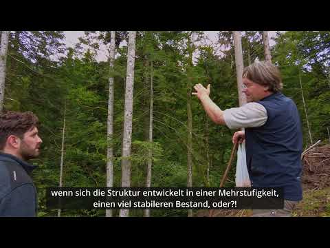 Folge 17 Der Waldrand - Freipflegen der Übergangsbereiche