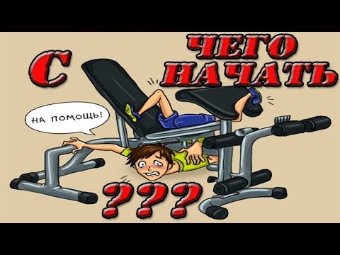 ТРЕНИРОВКА для НОВИЧКА ! С ЧЕГО НАЧАТЬ НОВИЧКУ в тренажерном зале ? V.O.D