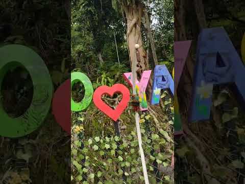 Tío yacu. Rioja San Martin  