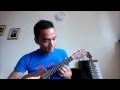 "Wake Me Up" (Avicii) ukulele cover by MrAliMcB ...