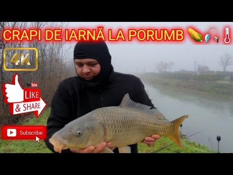 AM RUPT LANSETA SI MINCIOGUL ERA SA CAD IN APĂ |ULTIMUL VIDEO PE ANUL 2021 sfârșitul lunii DECEMBRIE