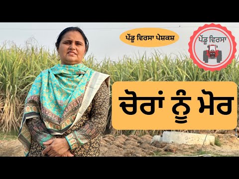 ਚੋਰਾਂ ਨੂੰ ਮੋਰ ep126 | Pendu virsa | new punjabi movie 2023 | new Punjabi short Film | Mansa |