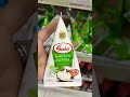 Santan Instan Coconut Milk Rose Brand Sasa Kara