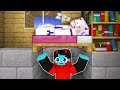 I Spent 24 Hours In Sheyyyn S House Minecraft
