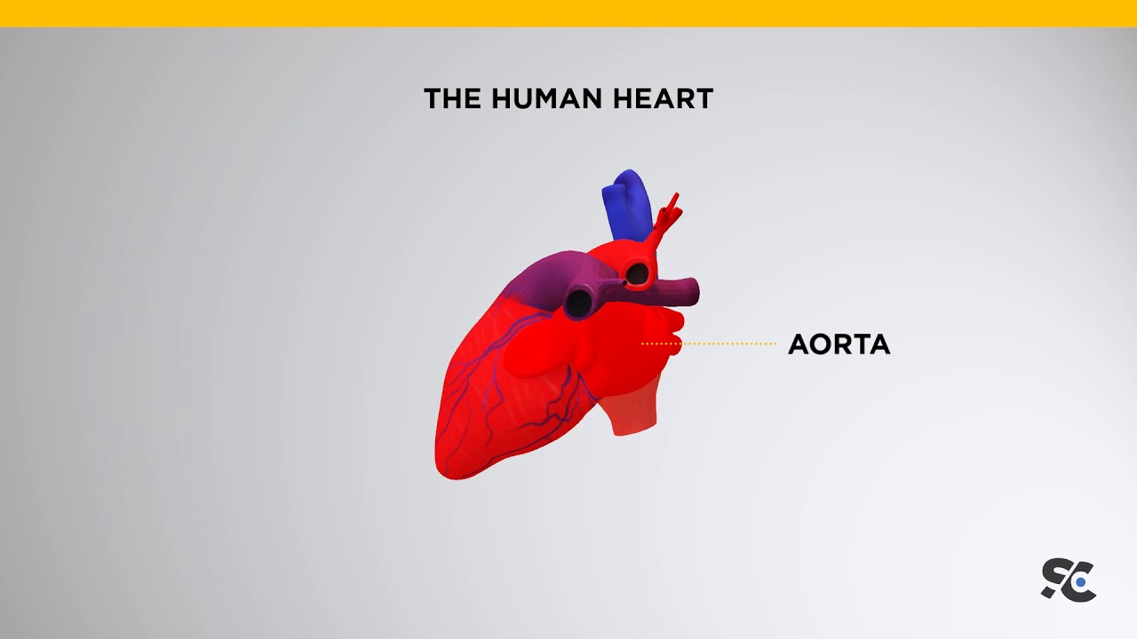 Animation teaser created in PowerPoint