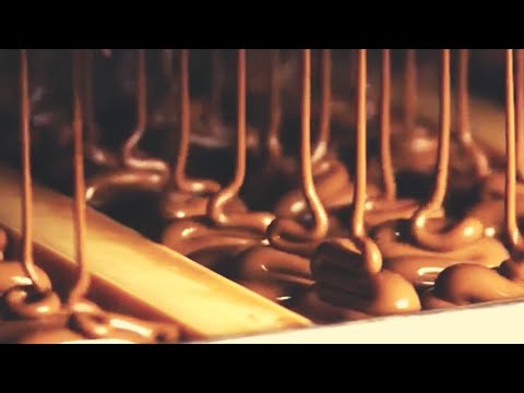 Inside The Factory World's Biggest Chocolate Brand MAKING MACHINES | Factories In 80 countries