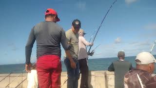 pescaria no emissário #viralizarreels #pescaria #viral