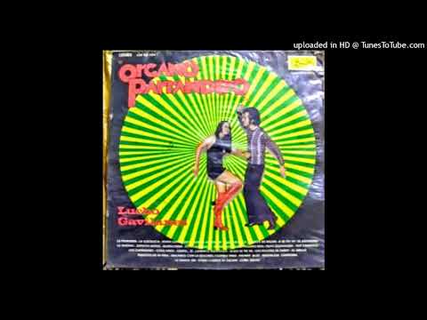 LUCHO GAVILANES - la danza del mono