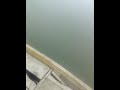 Jai Ganga Maiya Dekhe Kuch Tips Naav Chalane Ke