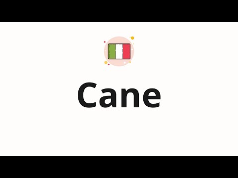 How to pronounce Cane