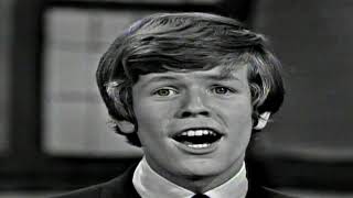 NEW * Mrs. Brown You&#39;ve Got A Lovely Daughter - Herman&#39;s Hermits 1965 {Stereo}