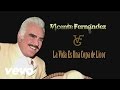 Vicente Fernández - La Vida Es una Copa de Licor (Cover Audio)