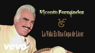Vicente Fernández - La Vida Es una Copa de Licor (Cover Audio)