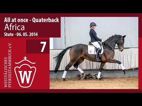 07 Africa Stute v. All At Once - Quaterback