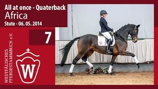 70.000 € pour le top price du Westphalien