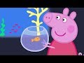Peppa Pig English Full Episodes Compilation 8
