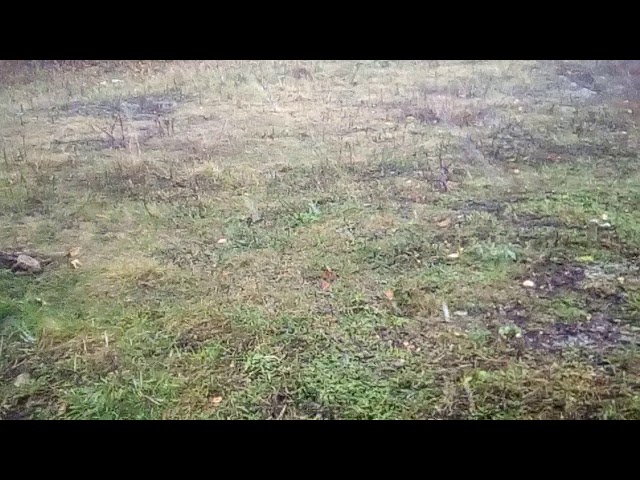 Тәтеш. Беренче кар