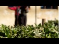 Daily Life At Lea School In Dongobesh Africa