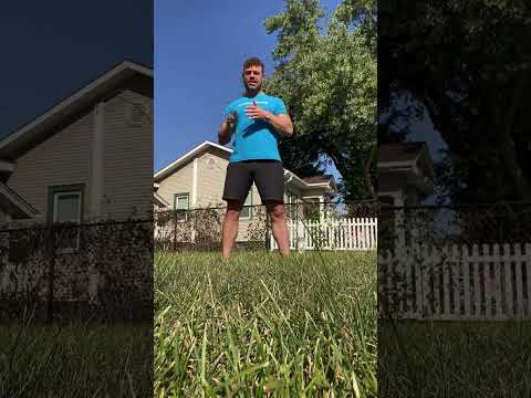 This Out Performance CBD For Chronic Pain