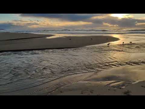 Near pismo beach view