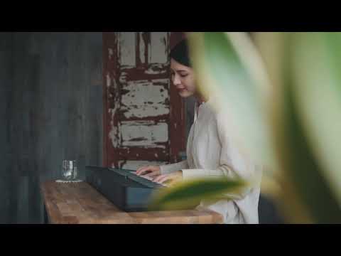 Zuhal Youtube Videos