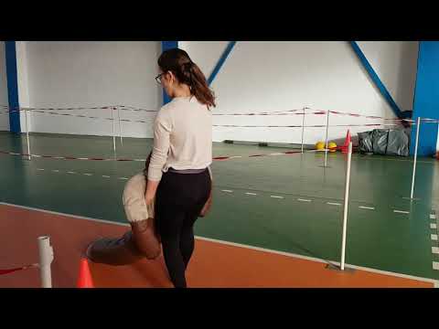 Traseu utilitar - proba sportiva admitere MAI (academia de politie si scoala de subofiteri).